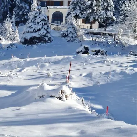 Kostic Апартаменты Копаоник