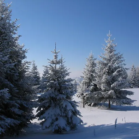 Apartment Kostic Kopaonik