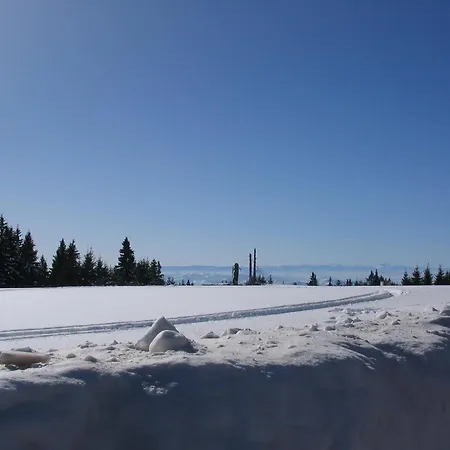 Kostic Копаоник