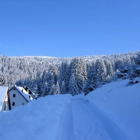 Kostic Kopaonik