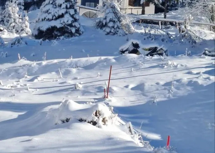 Kostic Apartamento Kopaonik