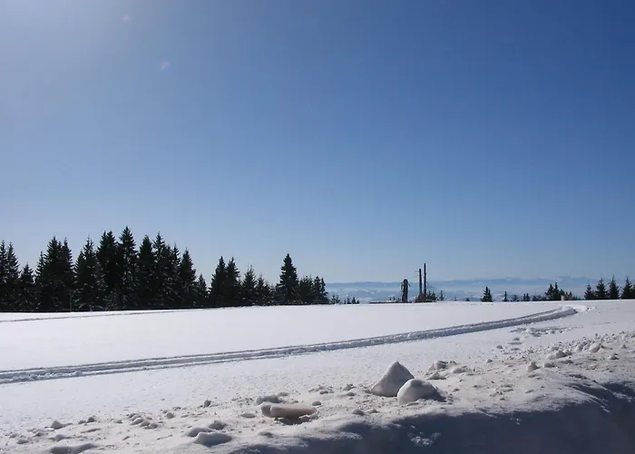 Kostic Apartamento *